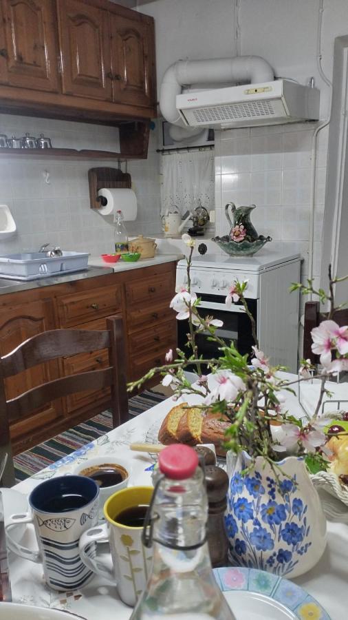 הוילה פיתגוריו Vaggelitsa'S House מראה חיצוני תמונה